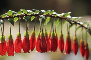 中山西区3私人快速借钱网，轻松解决资金难题