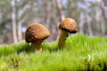 中山西区3私人老板放款：轻松融资的秘密通道